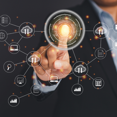 Identity Systems & Visual Language