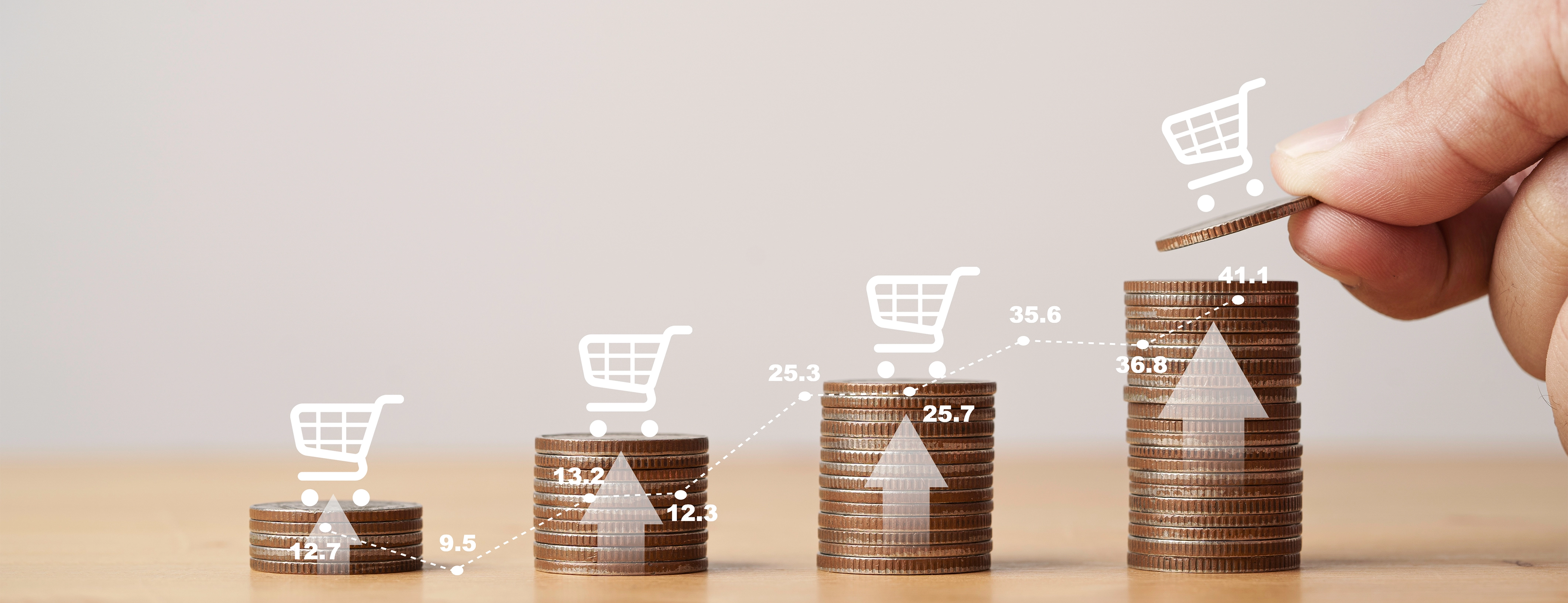 Low Value Purchase System